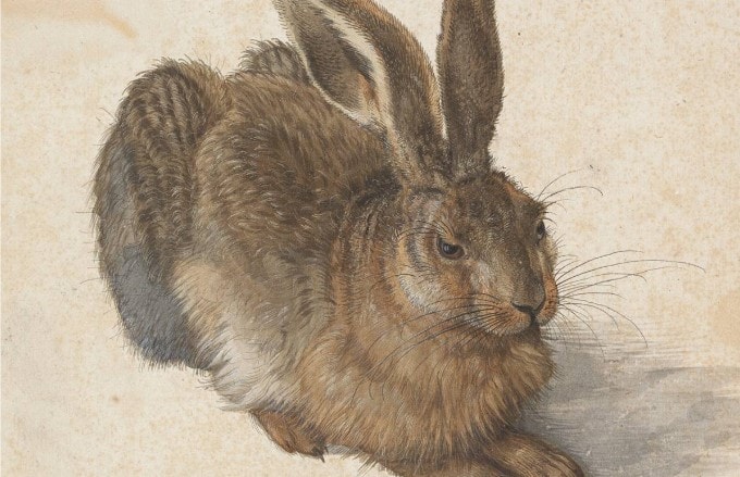 HARE TODAY: Statue By Artist Albrecht Dürer Finally Built 500 Years Late - Article cover image