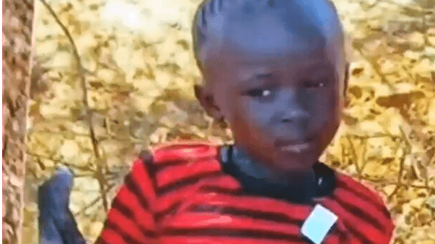 MANE MEAL: Teen Girl Eaten By Lion In Kenya - Article cover image