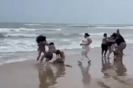 DUNE WANT SOME? Fists Fly As Tourists Brawl On Beach - Article cover image