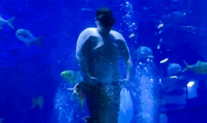 TIPPED THE SCALES - Chubby Merman Performer Shakes Fat Belly For Aquarium Visitors - Article cover image