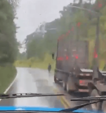 NEAR MISS - Lorries Narrowly Escape Head-On Crash At Last Minute - Article cover image