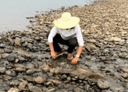 LAST GASP - Man Digs Stream With Bare Hands To Save Dying Fish In Drought-Hit Riverbed - Article cover image