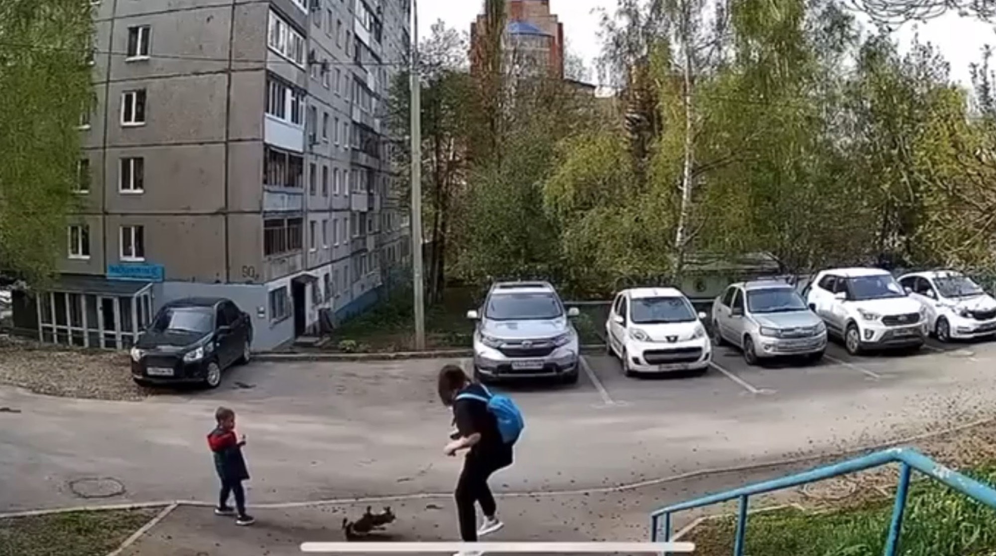 COFFEE KICK - Fuming Mum Boots Tiny Dog That Spilt Her Morning Drink Pulling On Lead - Article cover image