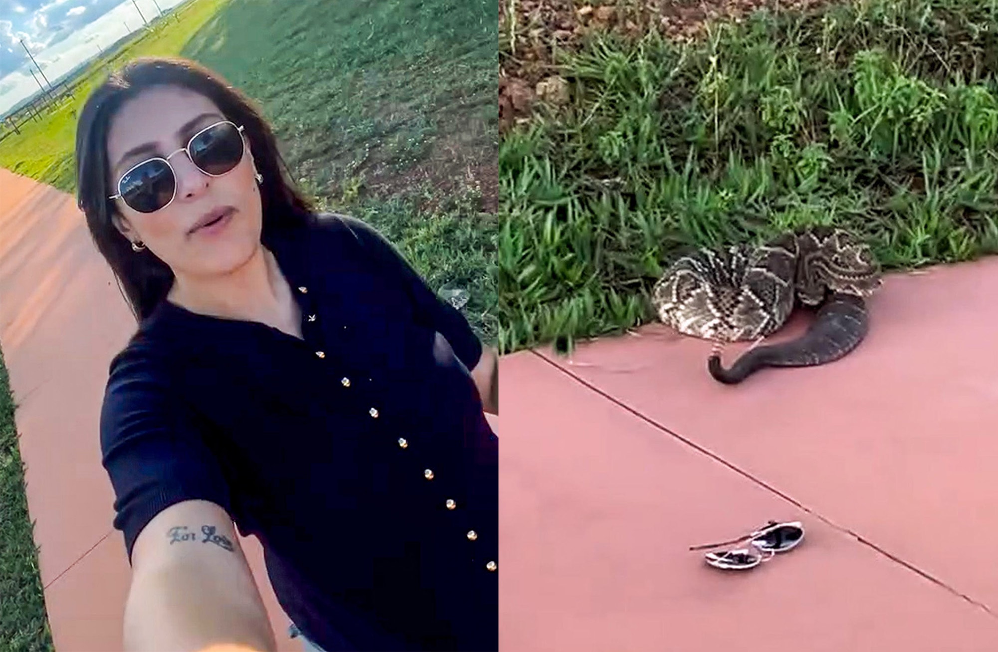 PHOTO BOMBED - Rattlesnake Steals Show Biting Glamorous Woman Making Real Estate Promo - Article cover image