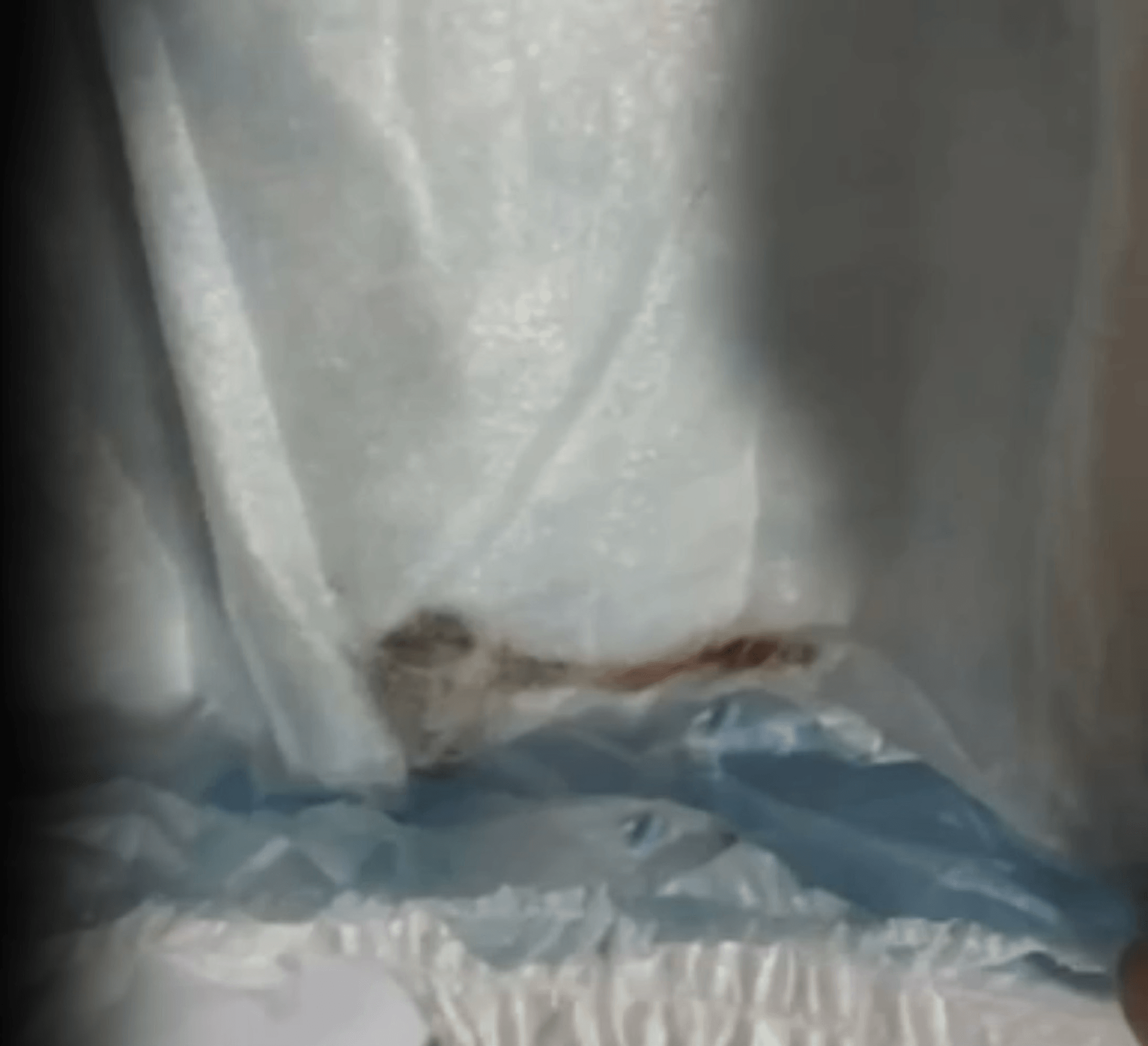 RAT OUTTA SMELL - Mum Finds Dead Rodent In Baby's Nappy - Article cover image