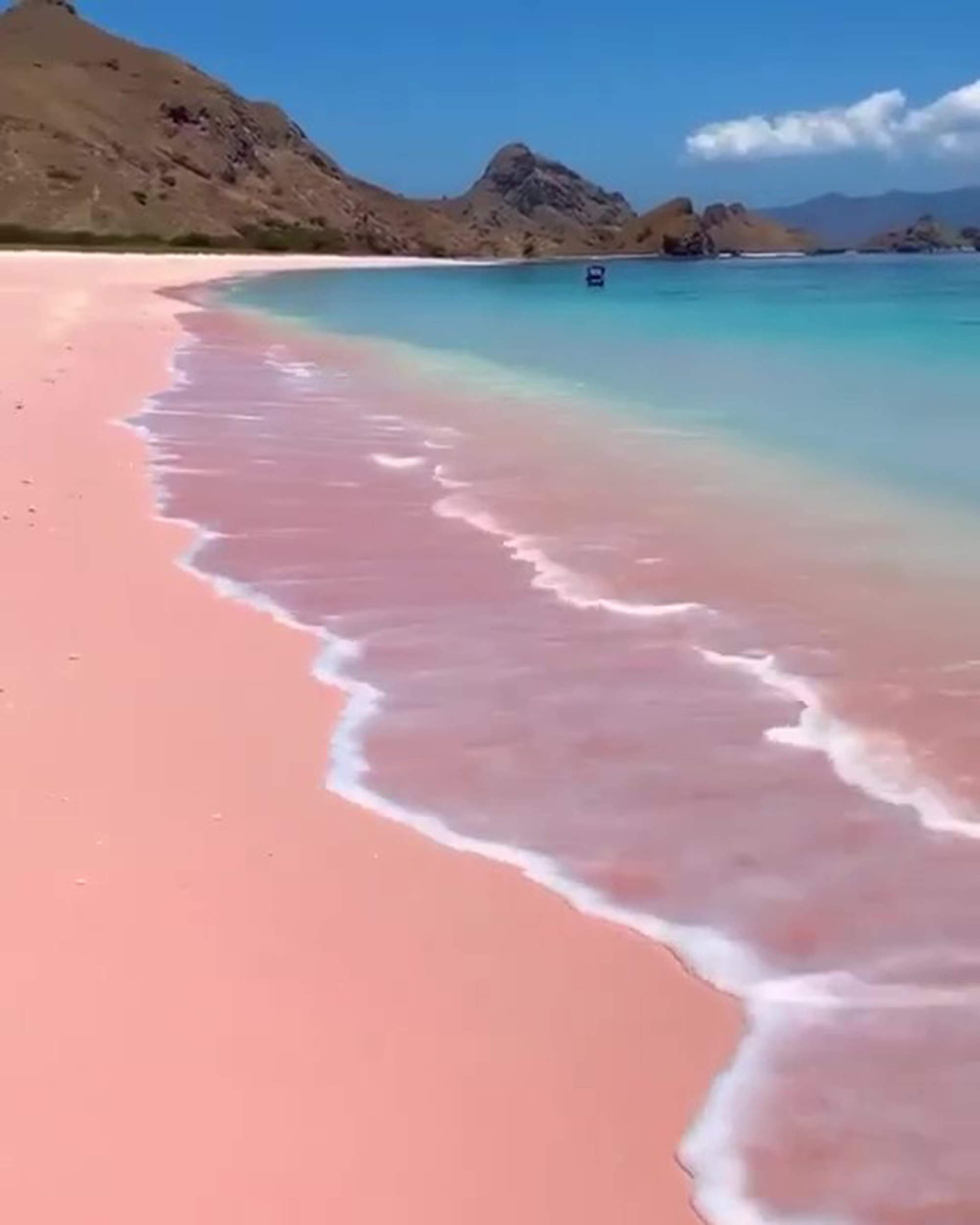GONE IN A FLASH - Tourist Swept To Her Death On Famous Pink Beach After Taking Off Life Jacket To Pose For Snaps - Article cover image