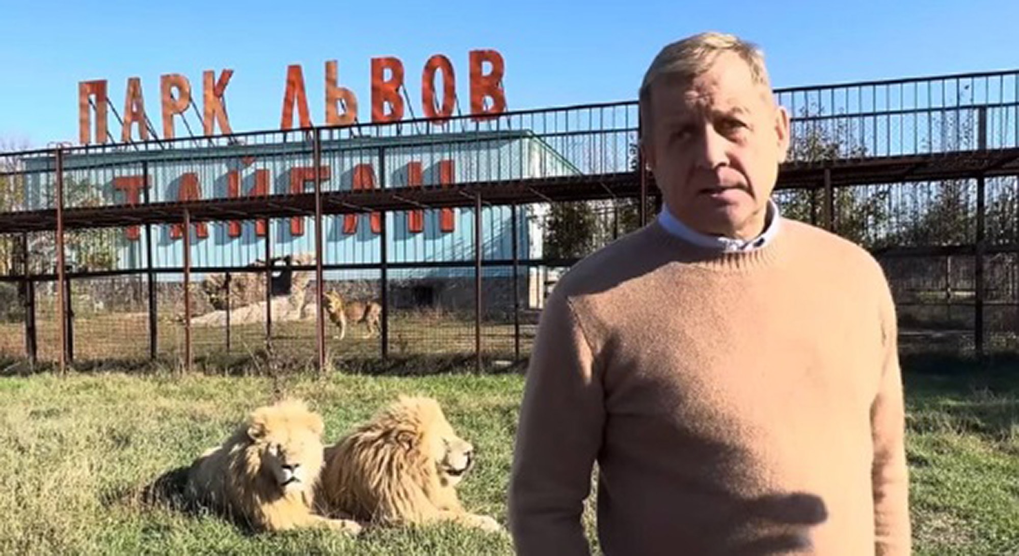 THE LION STING - Zoo Boss Torn Apart By Maneater Lions He Saved From Being Put Down - Article cover image