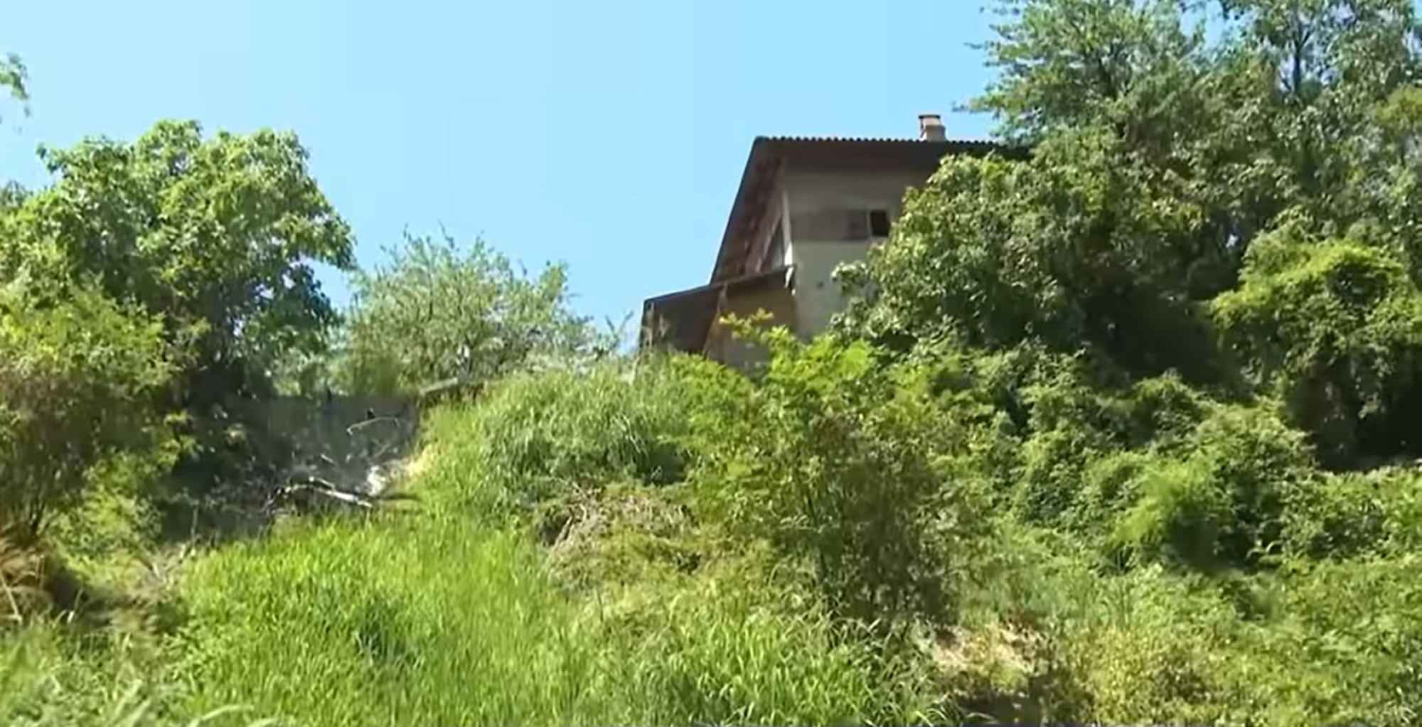 RAISING SHAME - Brother And Sister Aged Nine And Six Found Living Wild And Wearing Nappies - Article cover image