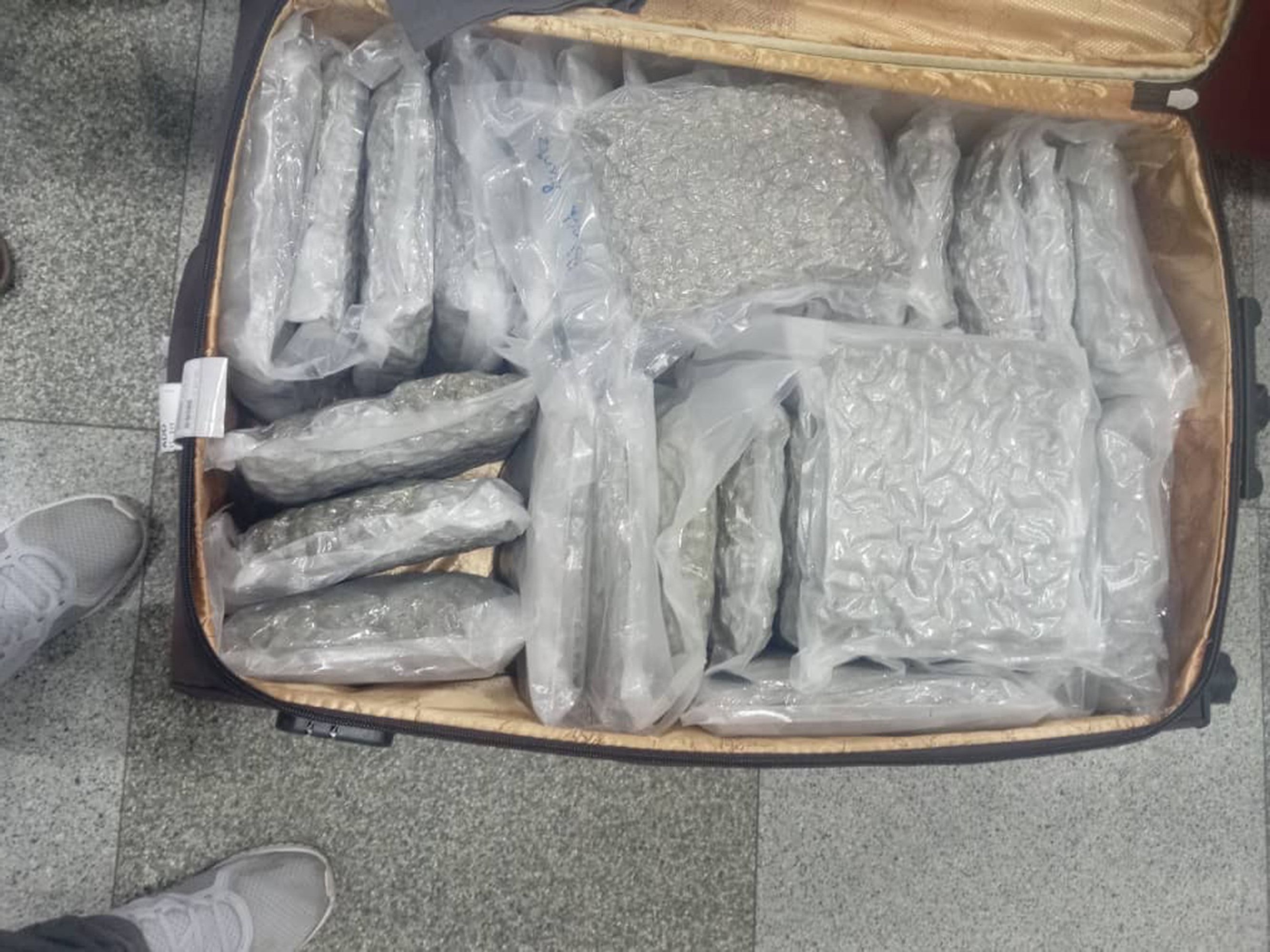 CANNABIS CASE - Young Brits Jailed Over 150lbs Of Cannabis Hidden In Luggage - Article cover image