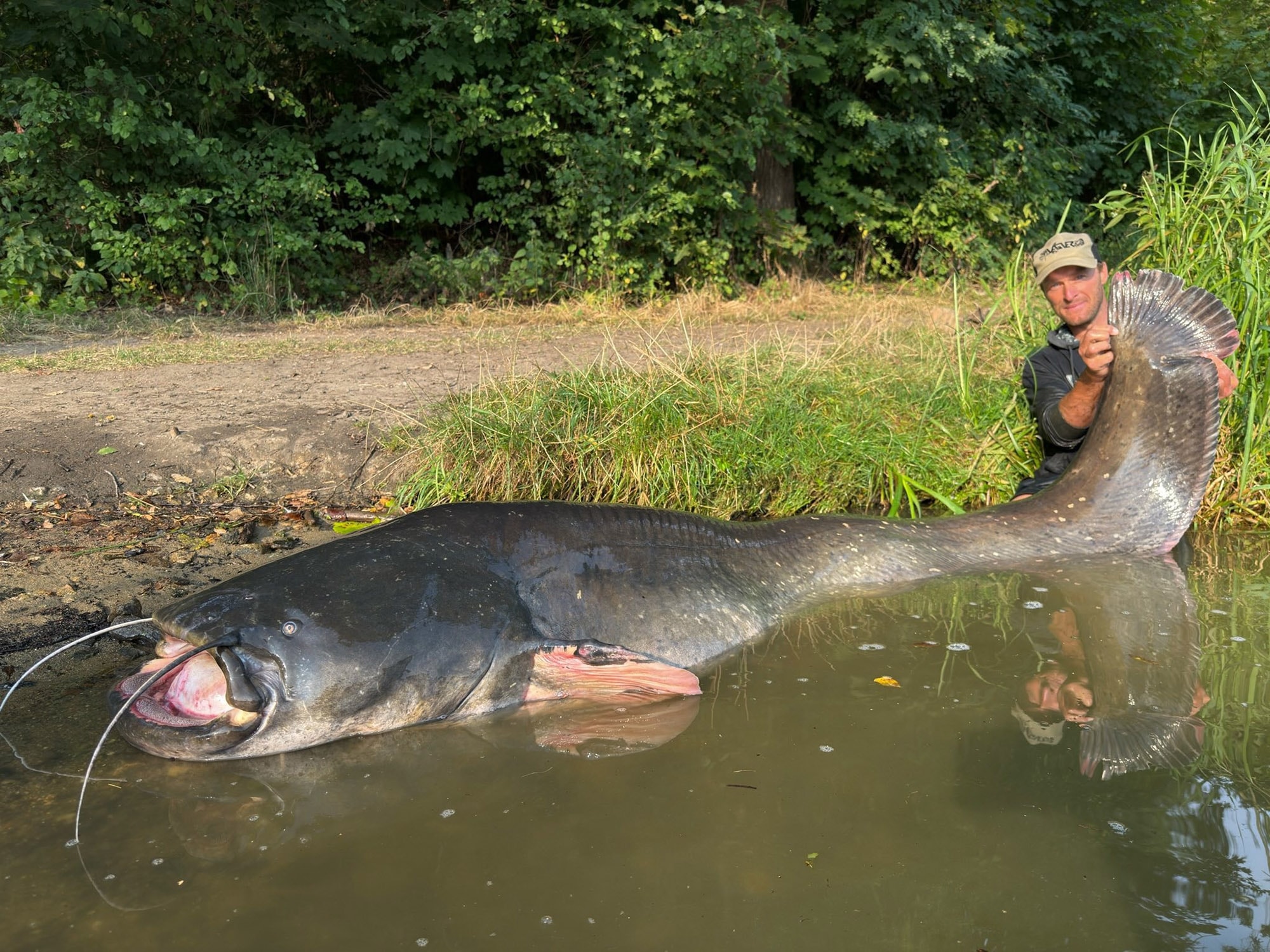KING FISHER - Angler Who Netted Almost Three-Metre Monster Fish Now Lands One Even Bigger - Article cover image