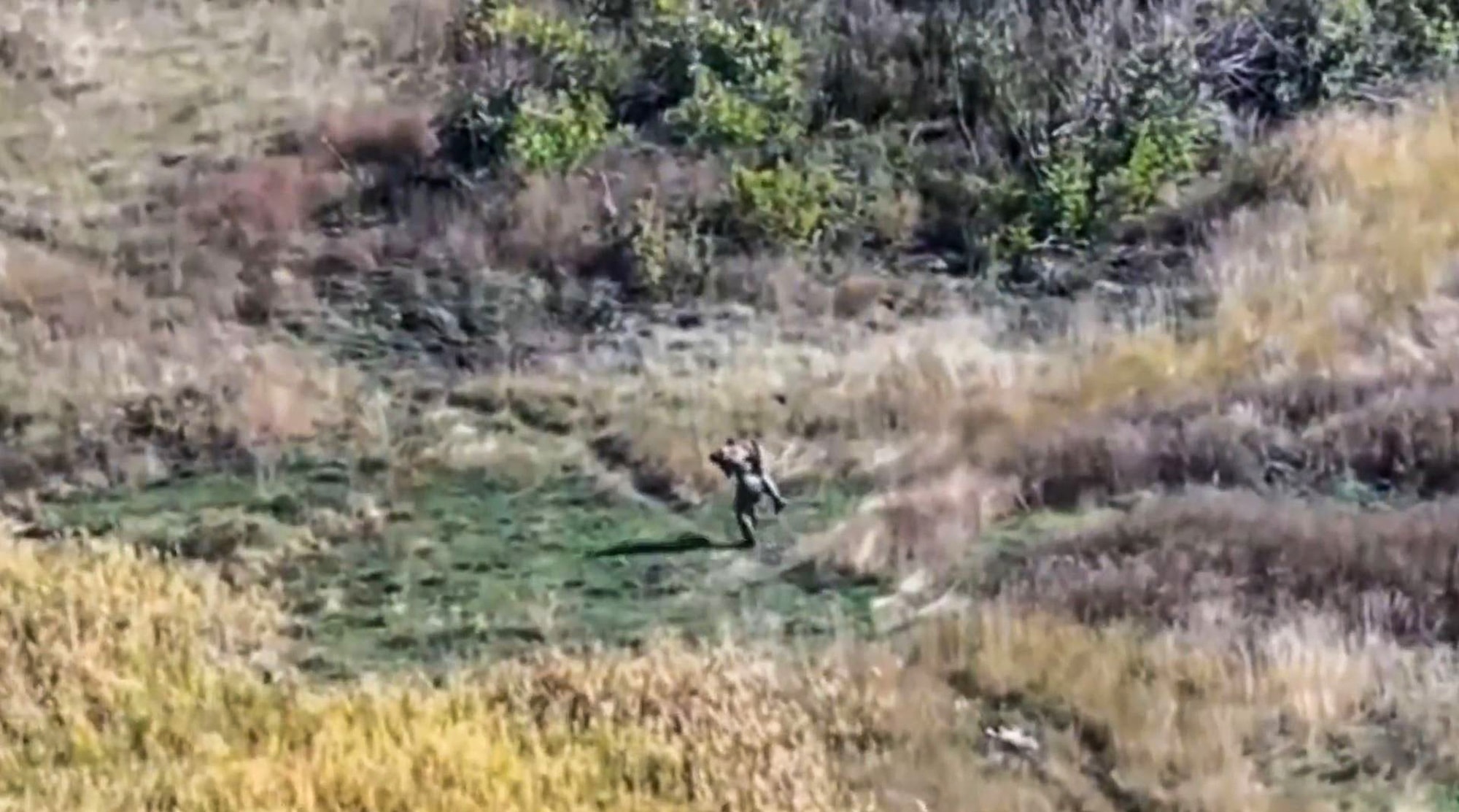 UNDER FIRE – Russia Claims Commander Carried Injured Comrade 2Km Across Open Ground - Article cover image