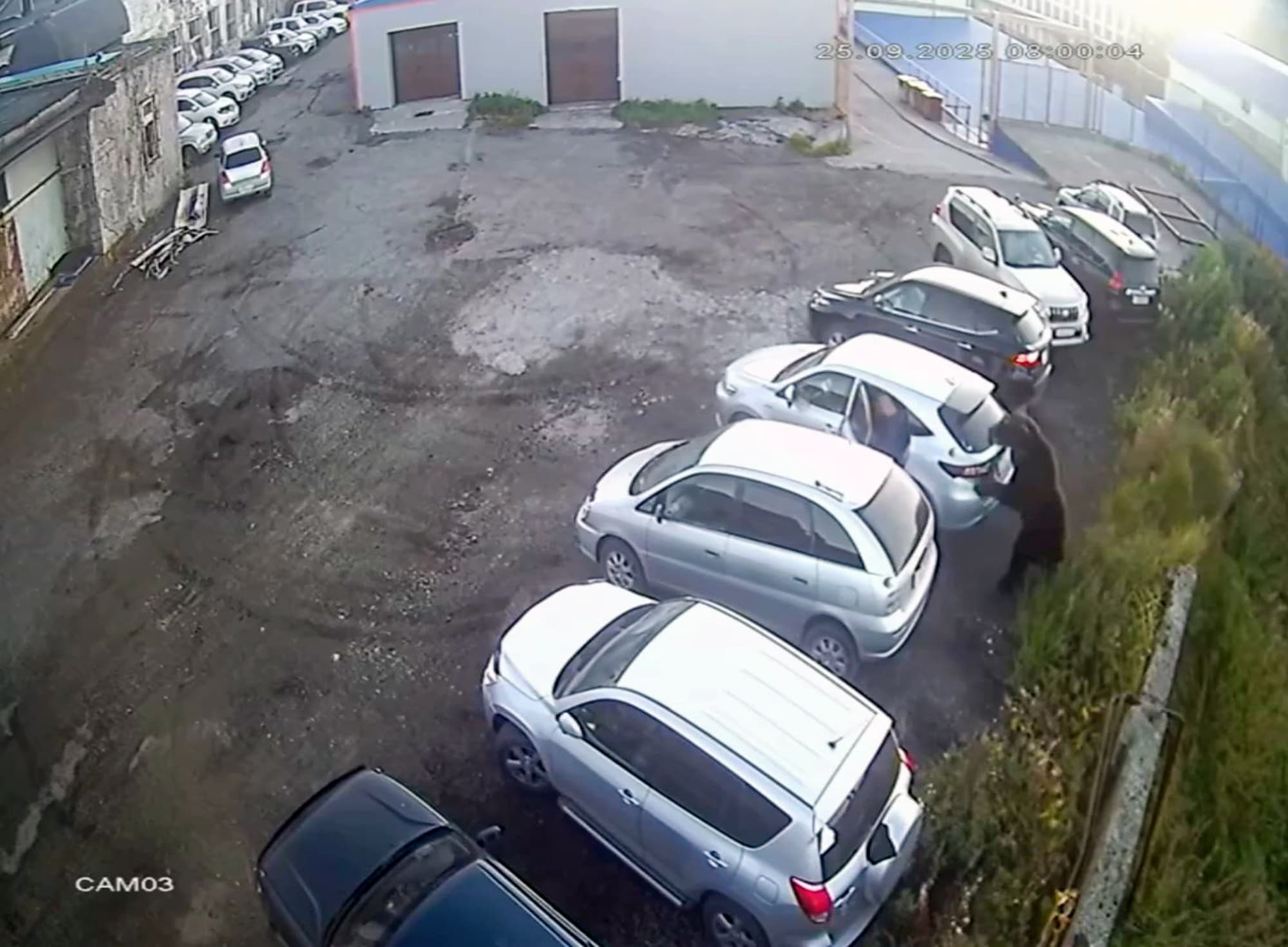 CLAW BLIMEY - Man Escapes Angry Bear Attack At Last Minute By Climbing Into Car