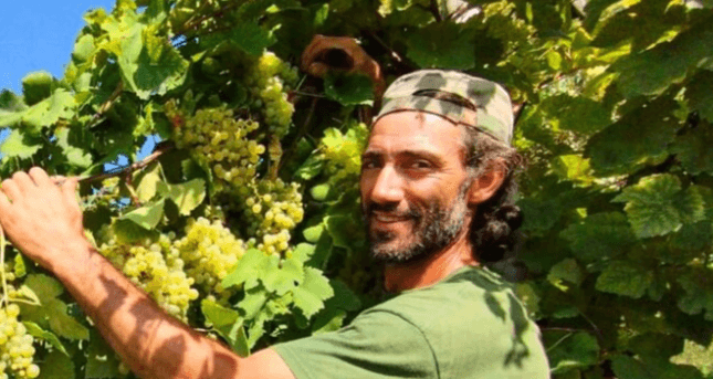 CRUSHING TRAGEDY - Top Italian Winemaker Killed By Grape Press In Family Cellar - Article cover image