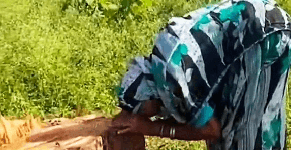 SAP STORY - Pensioner Cries After Huge Tree She Planted As Seed And Tended For Decades Is Cut Down