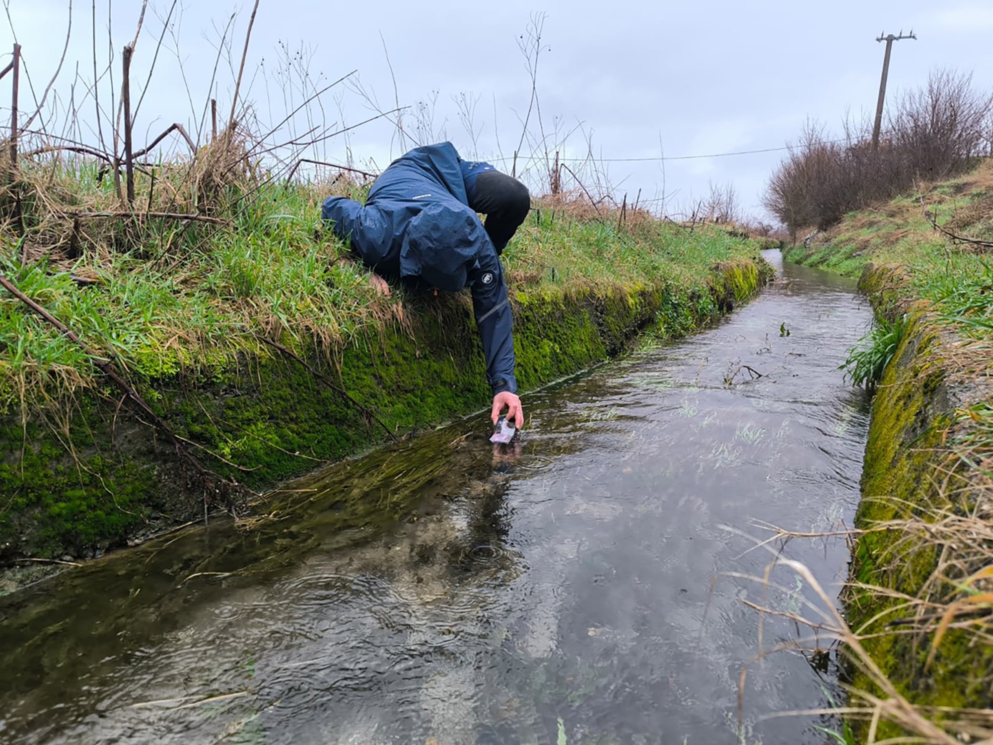Raging Underground Waters Flush Out Protected ‘Human Fish’ As Zoo Steps In To Save Endemic Species - Article cover image