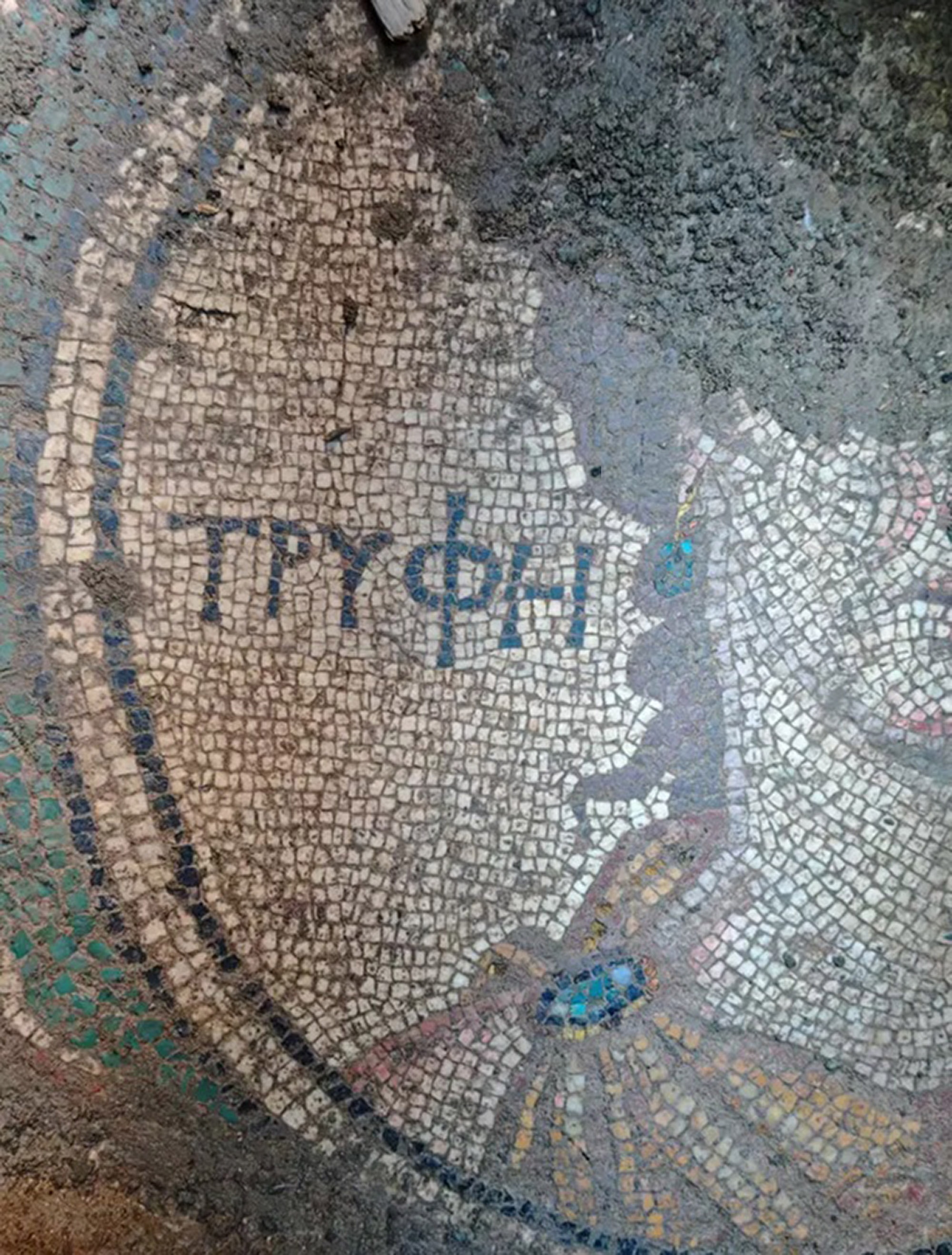THE DIG IS UP - Four Suspects Who Tried To Steal Ancient Mosaic Caught After Posting It Online - Article cover image