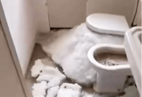 COLD FRONT - Hail Explodes Out Of Toilet In Freak Bathroom Storm - Article cover image