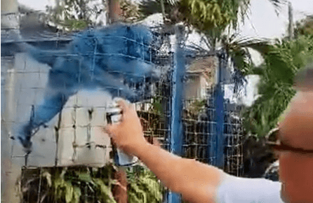 PAINT YOB - Man Arrested For Spraying Caged Monkey Blue In Shocking Clip - Article cover image